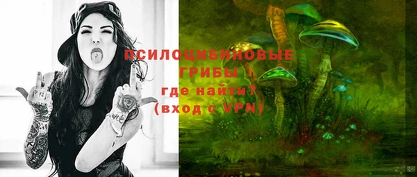а пвп мука Гусиноозёрск