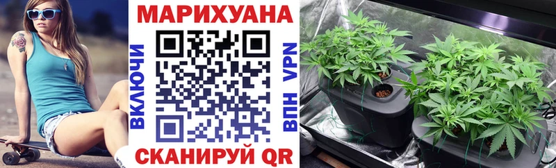 Купить закладки  Кукмор  Бошки марихуана OG Kush 